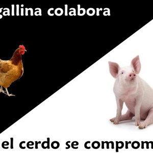 ¿Eres cerdo o gallina?